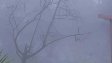 صور-|-الباحة-تحت-الضباب-والأمطار.-مشاهد-طبيعية-ساحرة-تجذب-الزوار