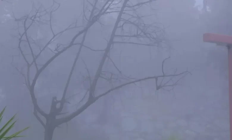 صور-|-الباحة-تحت-الضباب-والأمطار.-مشاهد-طبيعية-ساحرة-تجذب-الزوار