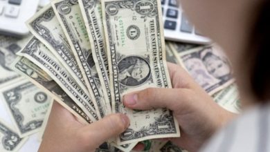 الترقية-يتصدر-ارتفاعات-٥٥,٨٪-من-وظائف-السعوديين-في-خمسة-أنشطة