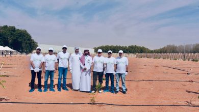 نوفا-تطلق-المرحلة-الاولى-من-زراعة-200-ألف-شجرة-دعماً-لمبادرة-السعودية-الخضراء