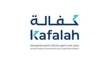 مبادرة-مؤهل-تسجّل-650-طلبًا-بإجمالي-تمويلات-تتجاوز-636-مليون-ريال