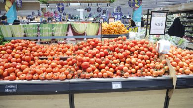 موردون-يكثفون-«الشحن-البري»-لدعم-احتياجات-الأسواق-المحلية-بالمواد-الغذائية-والاستهلاكية