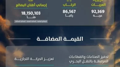 موانئ-تحقق-ارتفاعًا-بنسبة-20.89%-في-مناولة-الحاويات-خلال-فبراير