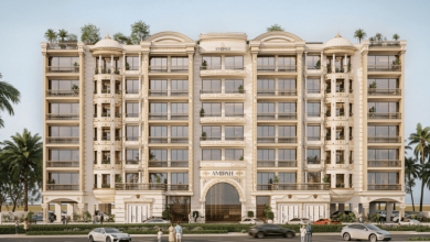 المستثمرون-الأذكياء-يركزون-على-جزر-دبي-ودبي-الجنوب،-تقول-شركة-أميرة -للتطوير-العقاري