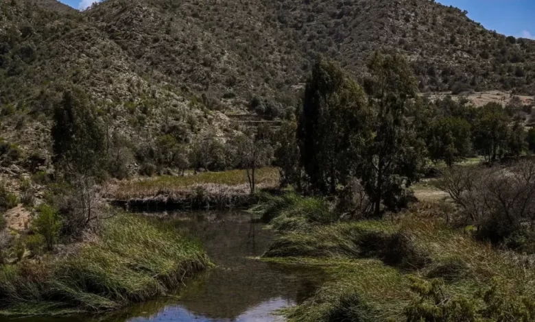 الباحة.-الأمطار-تُكسي-وادي-ضرك-حلة-ربيعية-زاهية