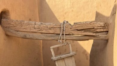 89-مليون-زائر-لقطاع-الترفيه-خلال-عام.-و95%-نسبة-رضا-الزائرين