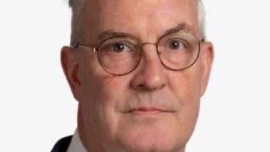 جامعة-الرياض-للفنون-تعيّن-الدكتور-فيليب-لويس-رئيساً-لكلية-الأفلام