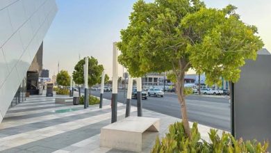 رقمنة-الأشجار-تعزز-الفرص-الاستثمارية-وتدعم-تحول-المدن-الذكية