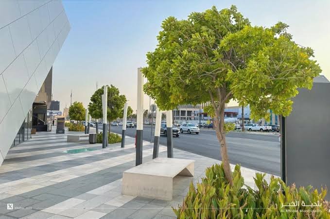 رقمنة-الأشجار-تعزز-الفرص-الاستثمارية-وتدعم-تحول-المدن-الذكية