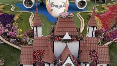 انطلاق-فعاليات-“بوليفارد-فلاورز”-في-قلب-الرياض:-200-مليون-زهرة-تزيّن-وجهة-الموسم-الجديدة