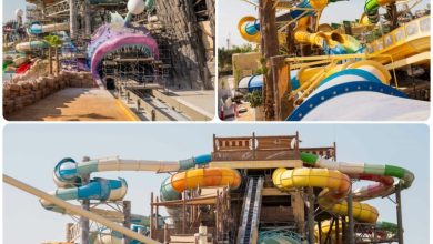 جزيرة-بياضة.-رحلة-بحرية-ثرية-في-مالديف-جدة