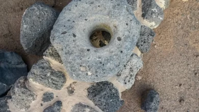 صور-|-قصر-خراش-بفيد-الأثرية.-دور-تاريخي-في-حماية-القوافل-بحائل