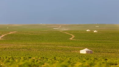 تنوّع-بيئي-وثروة-حيوانية-يعزّزان-الحراك-السياحي-في-الحدود-الشمالية