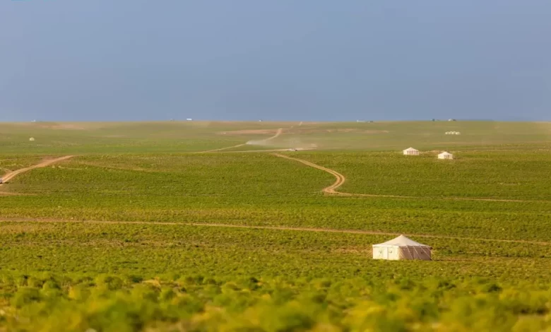 تنوّع-بيئي-وثروة-حيوانية-يعزّزان-الحراك-السياحي-في-الحدود-الشمالية