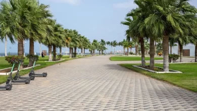 واجهة-المانجروف-في-جيزان.-أيقونة-ساحلية-جديدة-تُعزِّز-جاذبية-جازان-السياحية