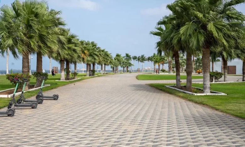 واجهة-المانجروف-في-جيزان.-أيقونة-ساحلية-جديدة-تُعزِّز-جاذبية-جازان-السياحية