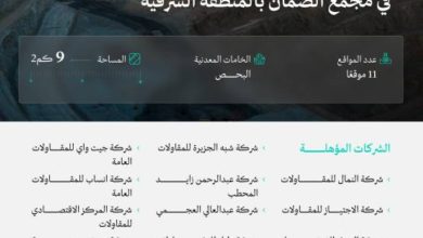تأهيل-17-شركة-للمنافسة-على-11-موقعًا-تعدينيًّا