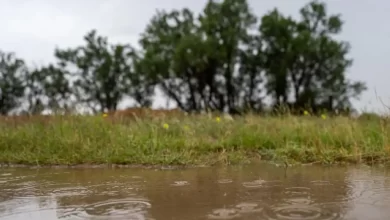 شاهد-بالصور.-الأمطار-تنعش-الحركة-السياحية-في-الأسياح-بالقصيم