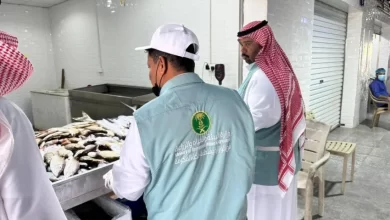 جولات-تفتيشية-على-سوق-السمك-بالقنفذة