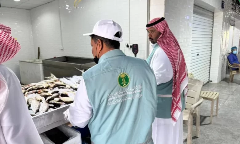 جولات-تفتيشية-على-سوق-السمك-بالقنفذة