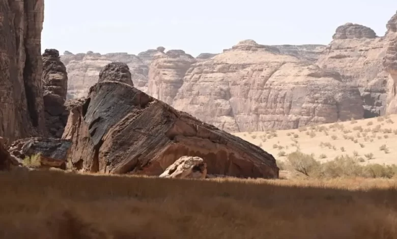 صور-|-محمية-شرعان-في-العُلا.-نموذج-عالمي-لإدارة-البيئات-الصحراوية