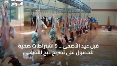 قبل-عيد-الأضحى…-9-اشتراطات-صحية-للحصول-على-تصريح-ذبح-الأضاحي