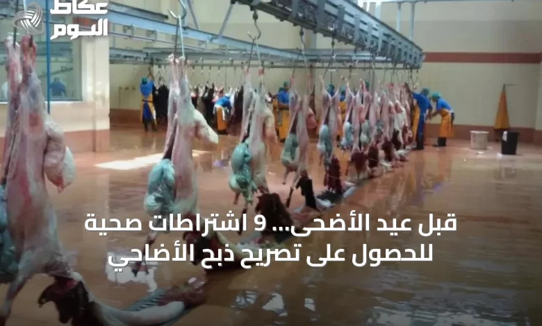 قبل-عيد-الأضحى…-9-اشتراطات-صحية-للحصول-على-تصريح-ذبح-الأضاحي