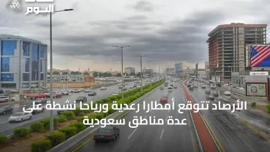 الأرصاد-تتوقع-أمطارًا-رعدية-ورياحًا-نشطة-على-عدة-مناطق-سعودية