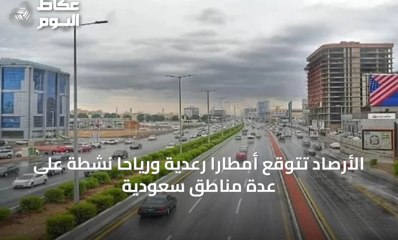 الأرصاد-تتوقع-أمطارًا-رعدية-ورياحًا-نشطة-على-عدة-مناطق-سعودية