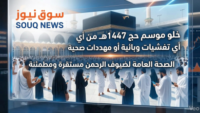 تقرير-تحليلي:-اقتصاديات-حج-1447هـ-في-ضوء-الكفاءة-التنظيمية-والصحية