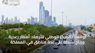 توقعات-المركز-الوطني-للأرصاد:-أمطار-رعدية-ورياح-نشطة-على-عدة-مناطق-في-المملكة