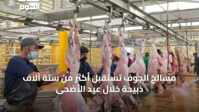 مسالخ-الجوف-تستقبل-أكثر-من-ستة-آلاف-ذبيحة-خلال-عيد-الأضحى