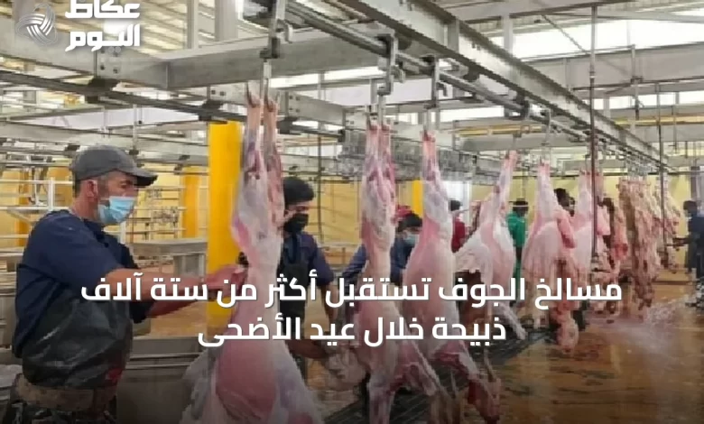 مسالخ-الجوف-تستقبل-أكثر-من-ستة-آلاف-ذبيحة-خلال-عيد-الأضحى