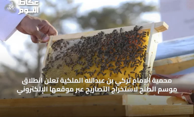 محمية-الإمام-تركي-بن-عبدالله-الملكية-تعلن-انطلاق-موسم-الطلح-لاستخراج-التصاريح-عبر-موقعها-الإلكتروني