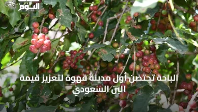 الباحة-تحتضن-أول-مدينة-قهوة-لتعزيز-قيمة-البن-السعودي