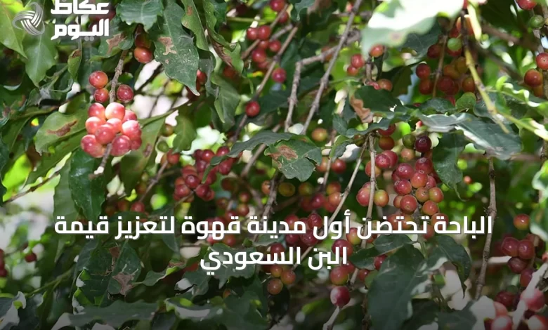 الباحة-تحتضن-أول-مدينة-قهوة-لتعزيز-قيمة-البن-السعودي