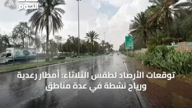 توقعات-الأرصاد-لطقس-الثلاثاء:-أمطار-رعدية-ورياح-نشطة-في-عدة-مناطق
