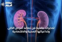 تحذيرات-عالمية-من-تصاعد-أمراض-الكلى-وتداعياتها-الصحية-والاقتصادية