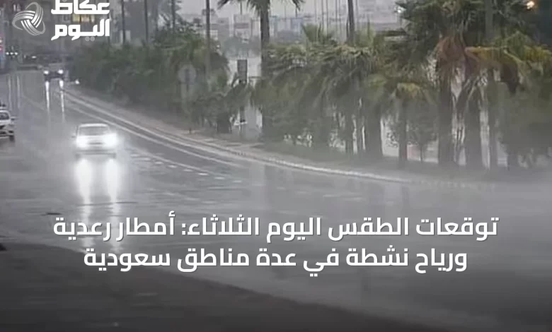توقعات-الطقس-اليوم-الثلاثاء:-أمطار-رعدية-ورياح-نشطة-في-عدة-مناطق-سعودية