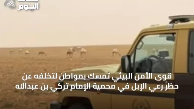 قوى-الأمن-البيئي-تمسّك-بمواطن-لتخلفه-عن-حظر-رعي-الإبل-في-محمية-الإمام-تركي-بن-عبدالله