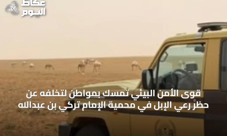 قوى-الأمن-البيئي-تمسّك-بمواطن-لتخلفه-عن-حظر-رعي-الإبل-في-محمية-الإمام-تركي-بن-عبدالله