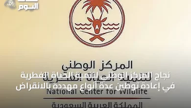 نجاح-المركز-الوطني-لتنمية-الحياة-الفطرية-في-إعادة-توطين-عدة-أنواع-مهددة-بالانقراض