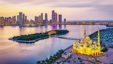اقتصادية-الشارقة-تبدأ-تطبيق-حزمة-التسهيلات-الاقتصادية-الحكومية-لتعزيز-بيئة-الأعمال