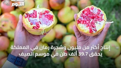 إنتاج-أكثر-من-مليون-وشجرة-رمان-في-المملكة-يحقق-39.7-ألف-طن-في-موسم-الصيف