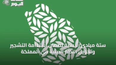 ستة-مبادئ-رئيسية-لضمان-استدامة-التشجير-وتحويل-النظم-البيئية-في-المملكة