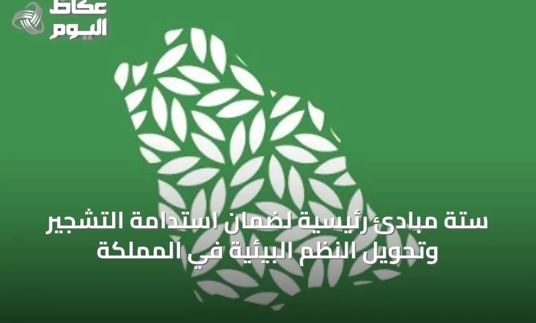 ستة-مبادئ-رئيسية-لضمان-استدامة-التشجير-وتحويل-النظم-البيئية-في-المملكة
