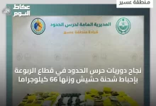 نجاح-دوريات-حرس-الحدود-في-قطاع-الربوعة-بإحباط-شحنة-حشيش-وزنها-66-كيلوجرامًا