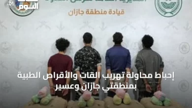 إحباط-محاولة-تهريب-القات-والأقراص-الطبية-بمنطقتي-جازان-وعسير