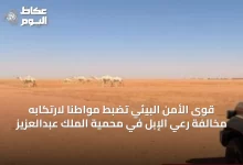 قوى-الأمن-البيئي-تضبط-مواطنًا-لارتكابه-مخالفة-رعي-الإبل-في-محمية-الملك-عبدالعزيز