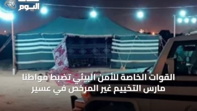 القوات-الخاصة-للأمن-البيئي-تضبط-مواطنًا-مارس-التخييم-غير-المرخص-في-عسير